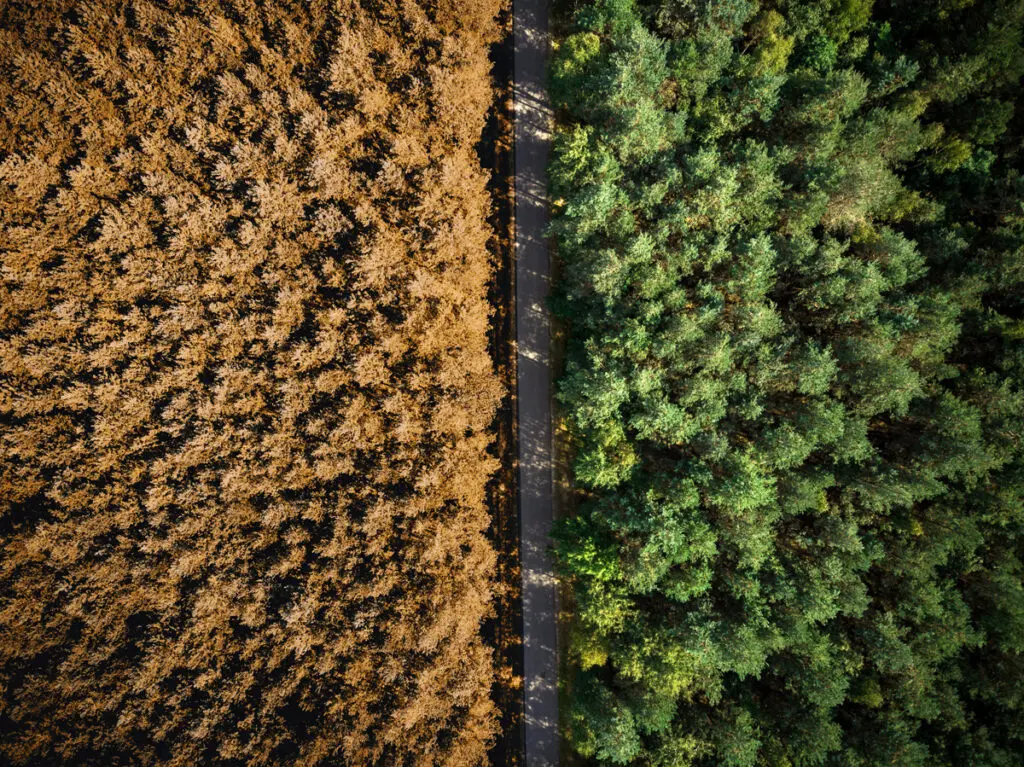 Climate Action Perspective, Green Horizons Magazine
