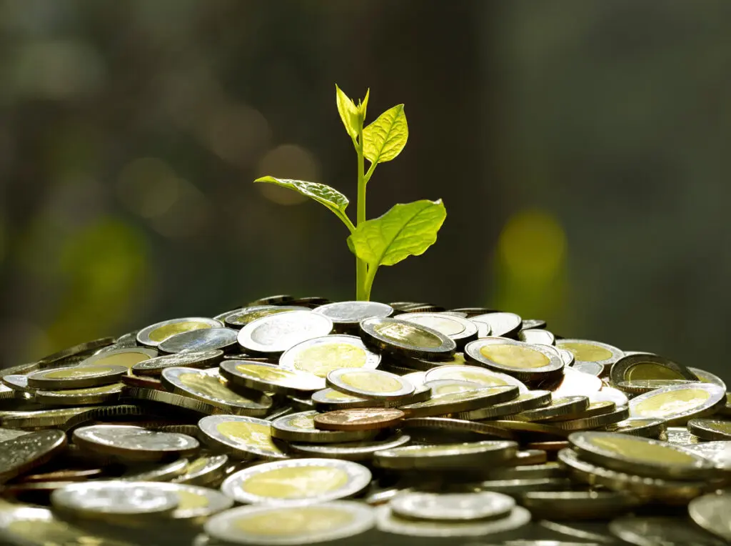How to maximise consultancy grants for smes, all-ireland sustainability, Green Horizons Magazine