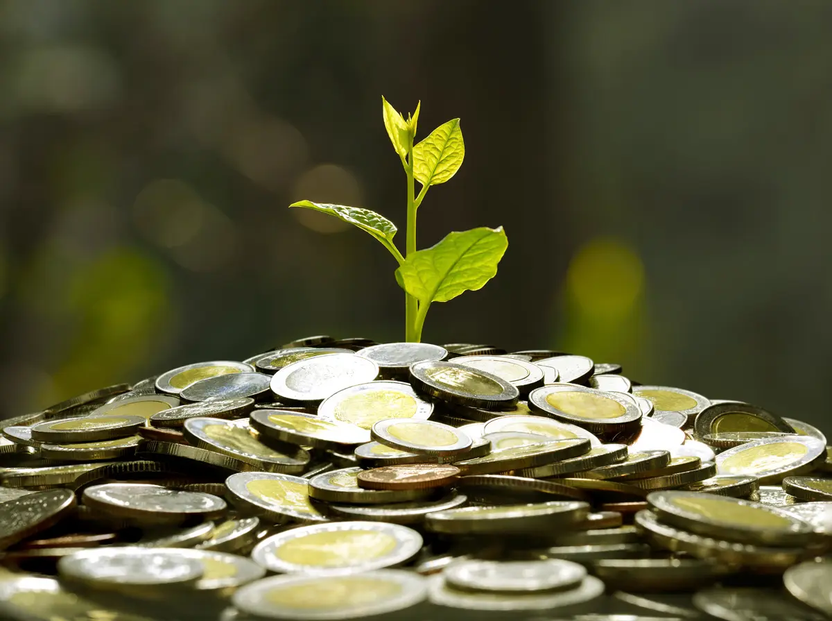 How to maximise consultancy grants for smes, all-ireland sustainability