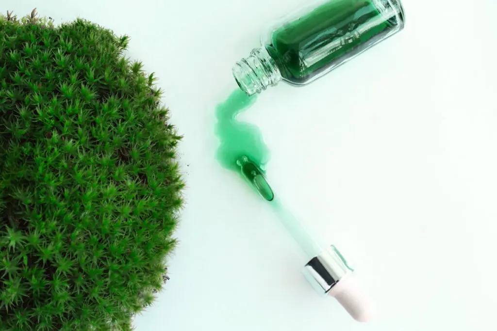 B Corp Ireland ESG, Green Horizons Magazine