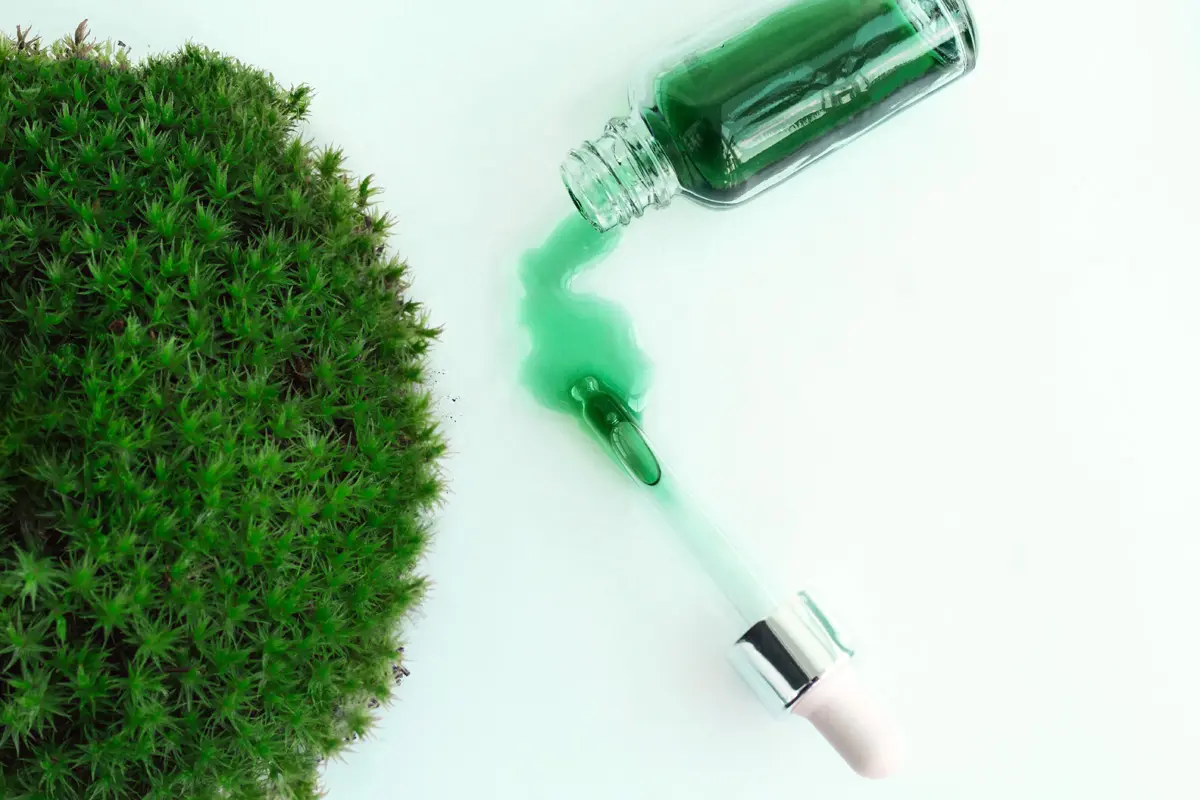 B Corp Ireland ESG, Green Horizons Magazine