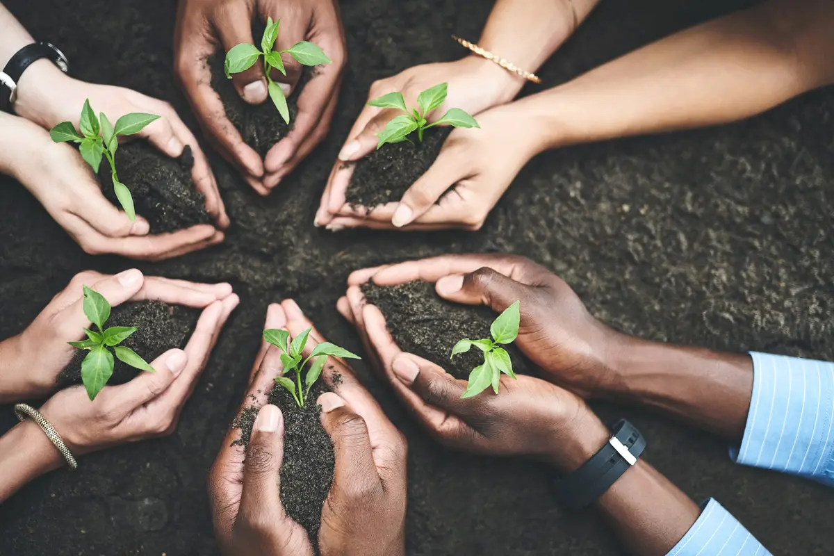 Circular Economy Ireland, Youth Climate Activism in Ireland, Green Horizons Magazine