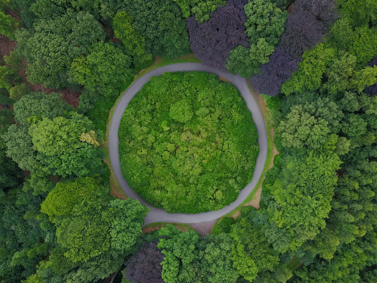 Transport Infrastructure Ireland Consider Native Woodland, Green Horizons Magazine