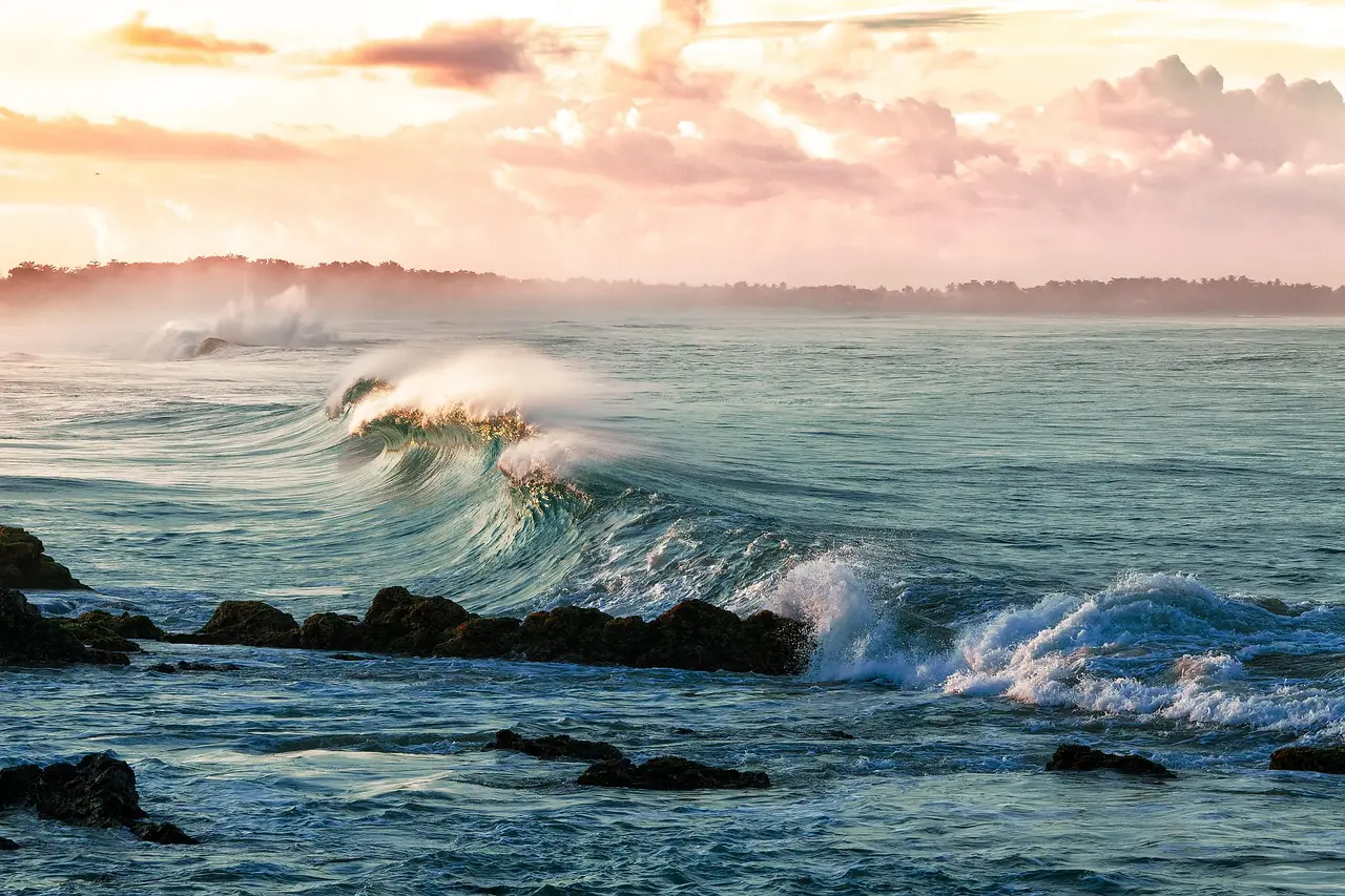 World Ocean Day
