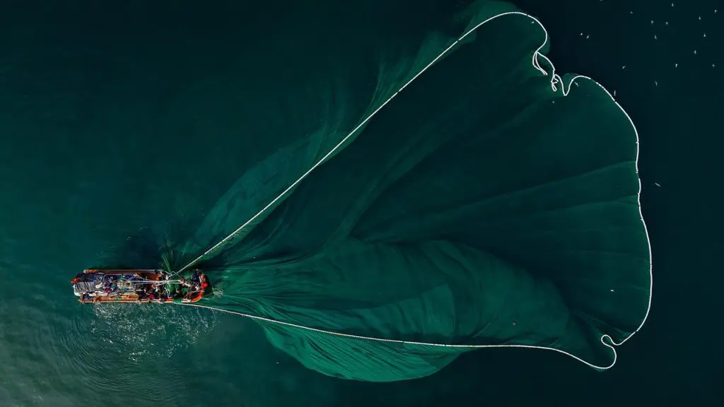 Overfishing in Ireland, Sustainable Fishing in Ireland, Green Horizons Magazine