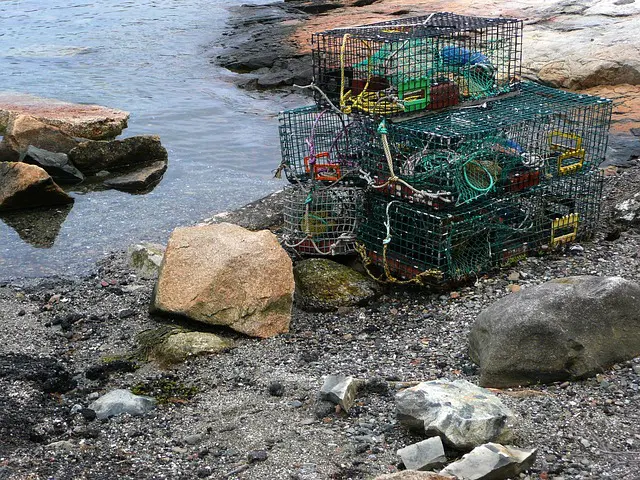 Fisheries and Water Environment Bill, Green Horizons Magazine