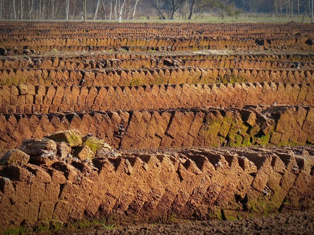 Bog Day 2025, EPA Criticises County Councils, Green Horizons Magazine
