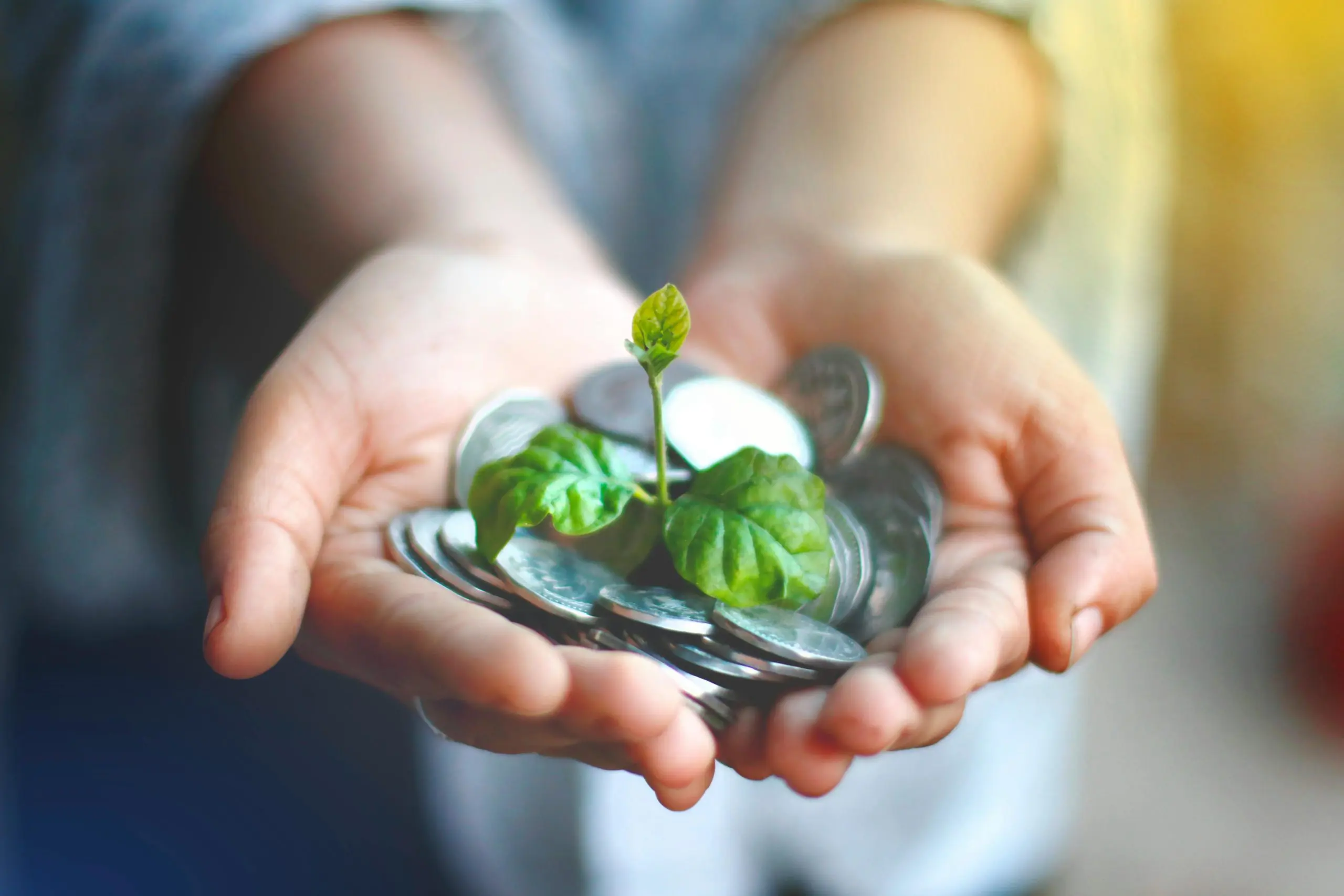 AIB Launches Green Loans, Green Business Loan Limit Increased, Green Horizons Magazine