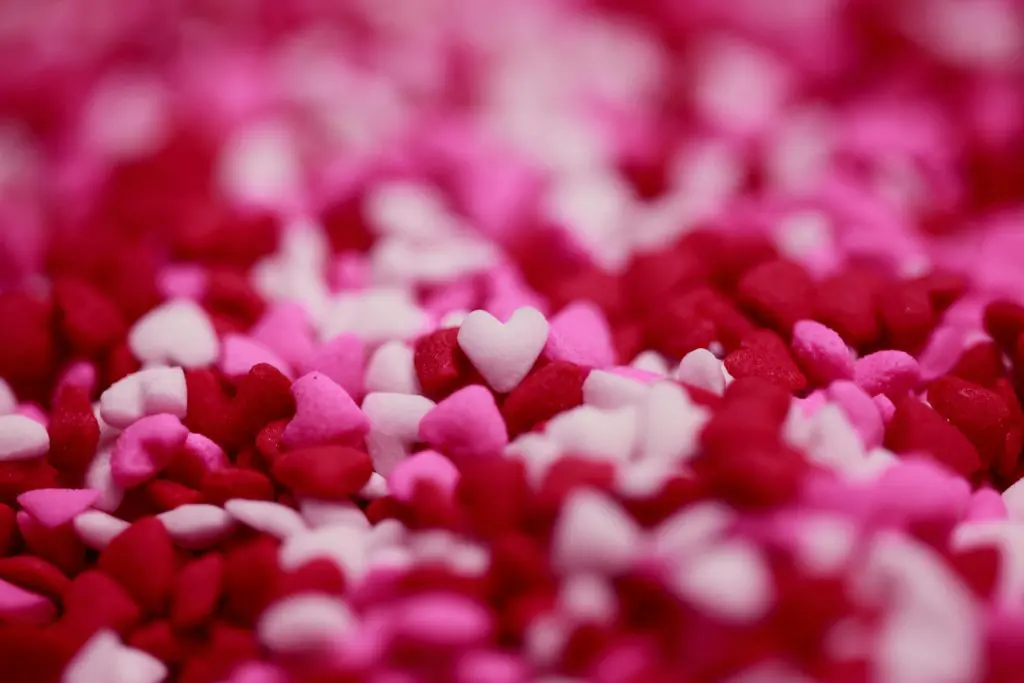 Valentine’s Day and Sustainability, Green Horizons Magazine
