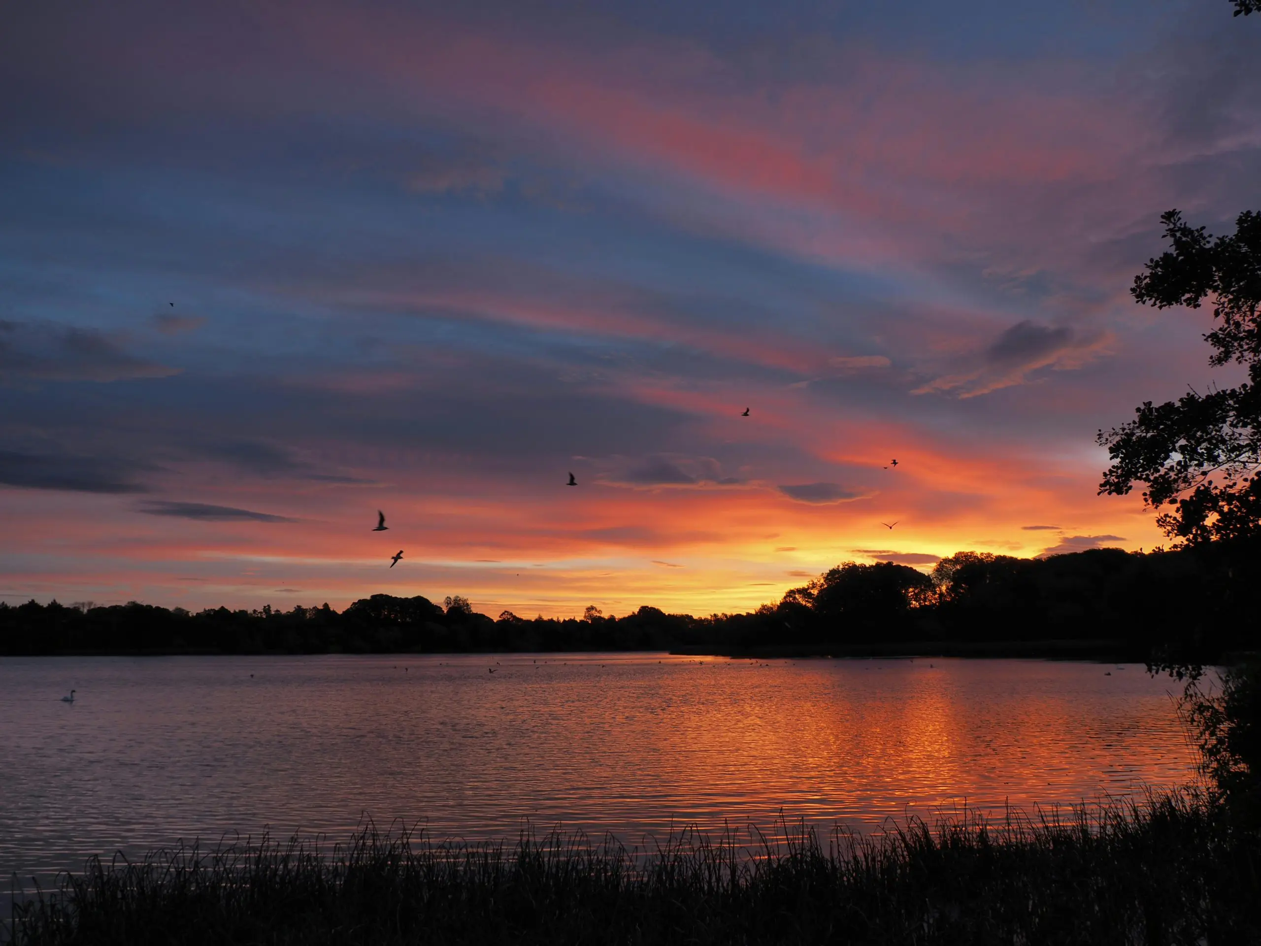 14 Steps to Save Lough Neagh. Green Horizons Magazine