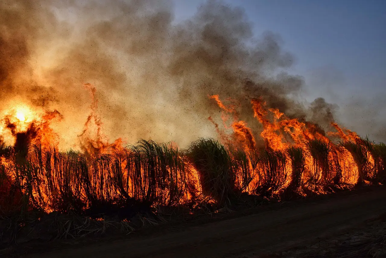 Northern Ireland's Strategic Wildfire Framework Unveiled, Wildfires in the Mournes, Slieve Beagh’s Peatland Protection, All-Ireland Sustainability, Green Horizons Magazine
