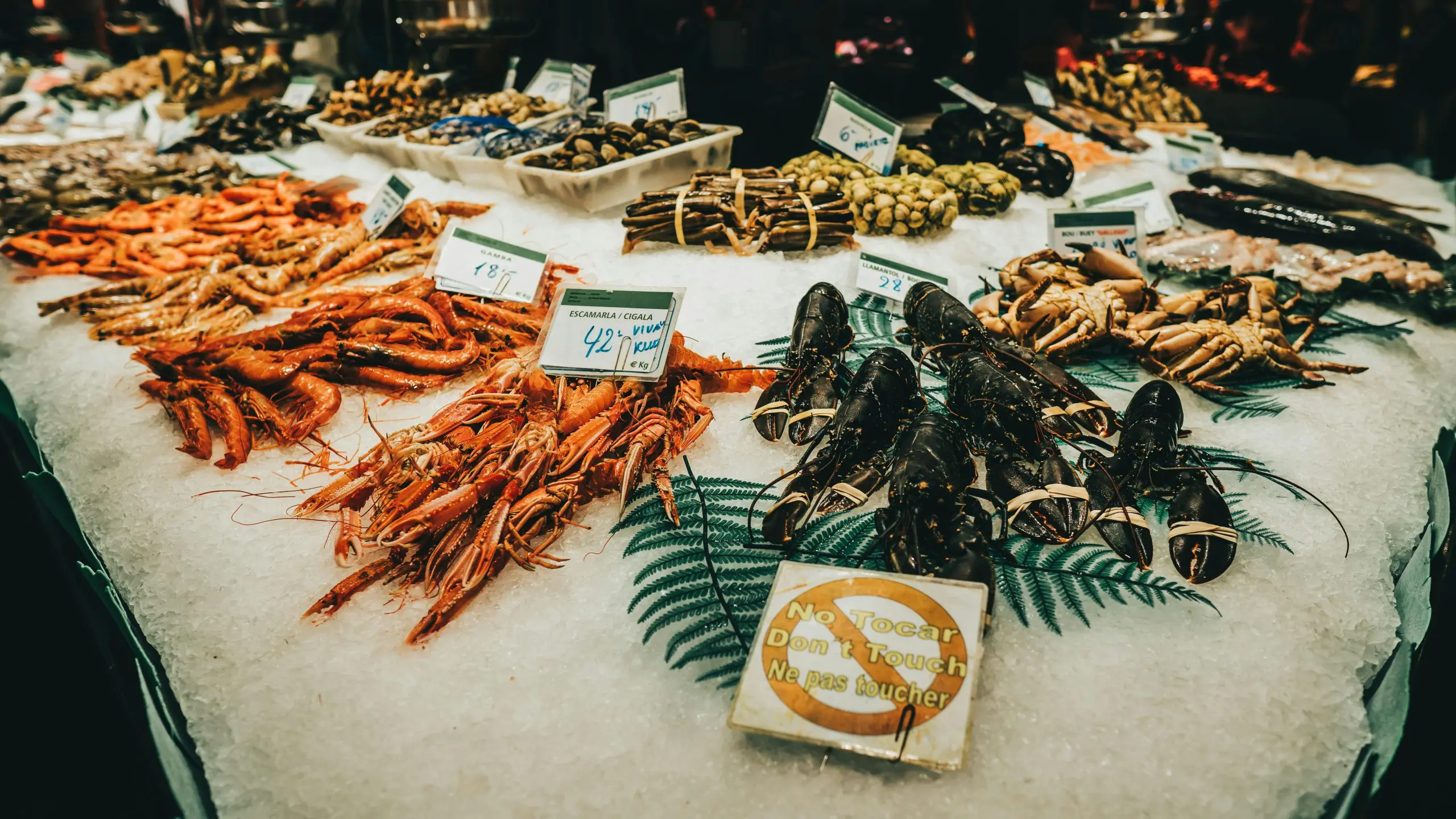 Louth Shellfish Processor is Pioneering AI Technology