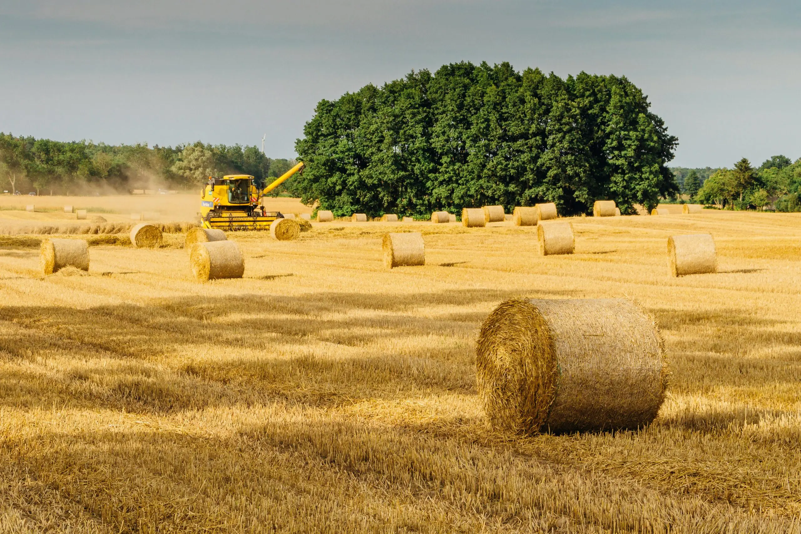 Pioneering Sustainable Bio-Based Practices, Project Connect Initiative, Green Horizons Magazine