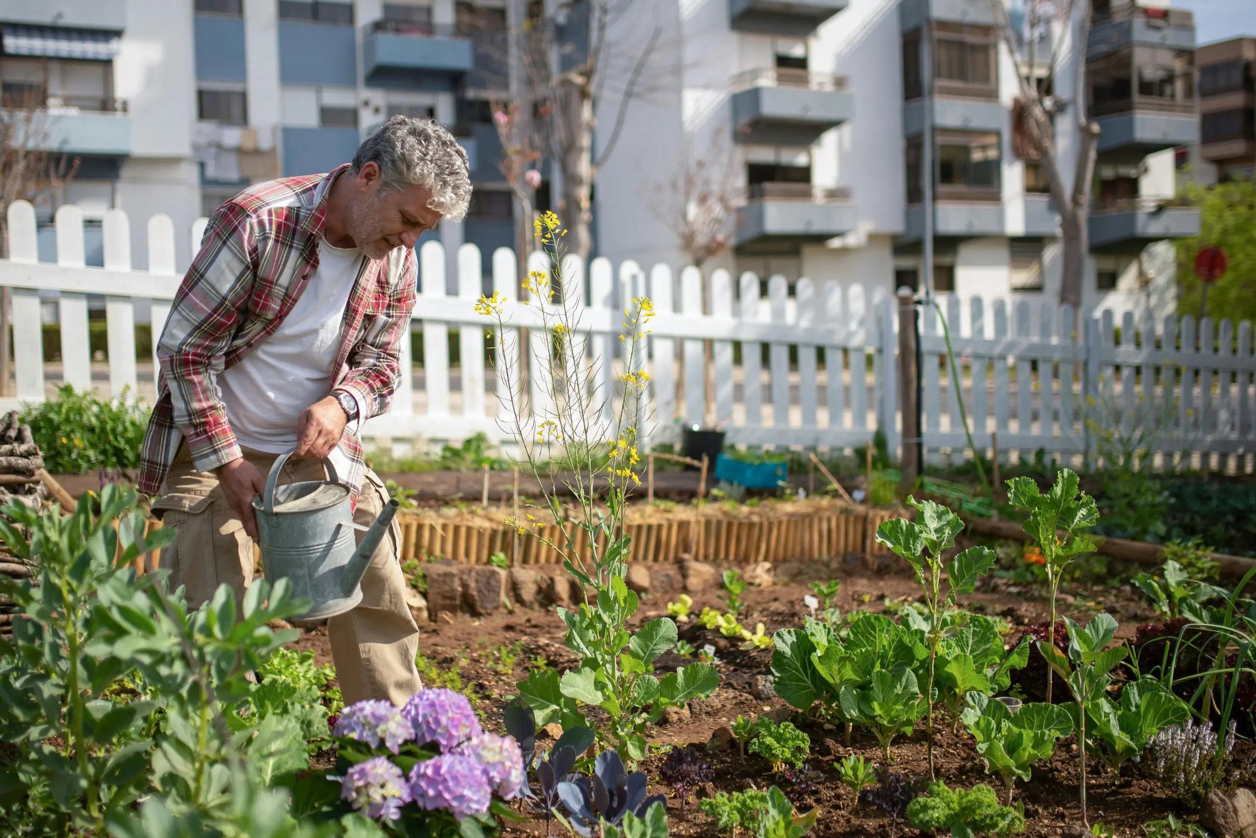 What is permaculture, Green Horizons Magazine