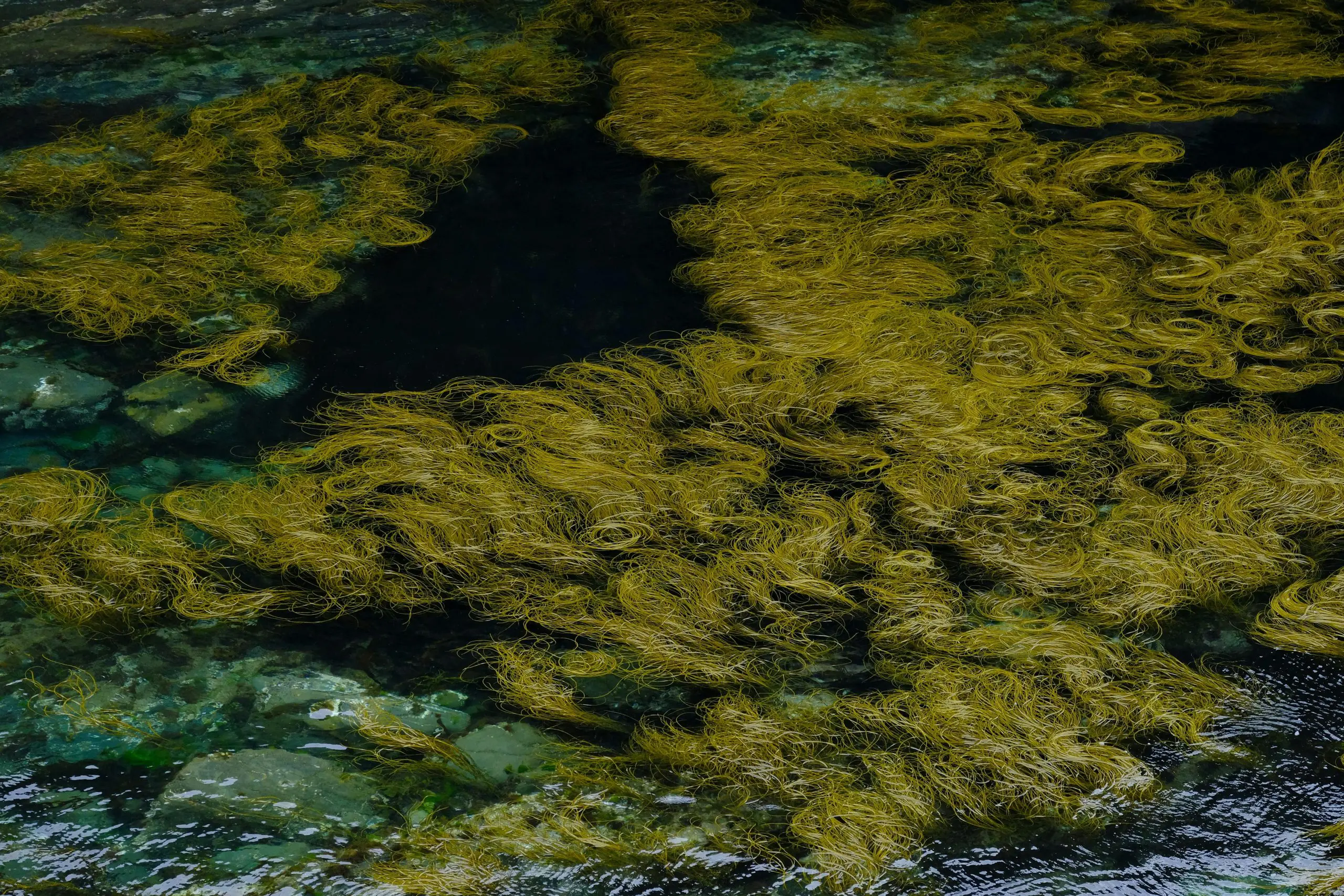 World Wetlands Day, Green Horizons Magazine