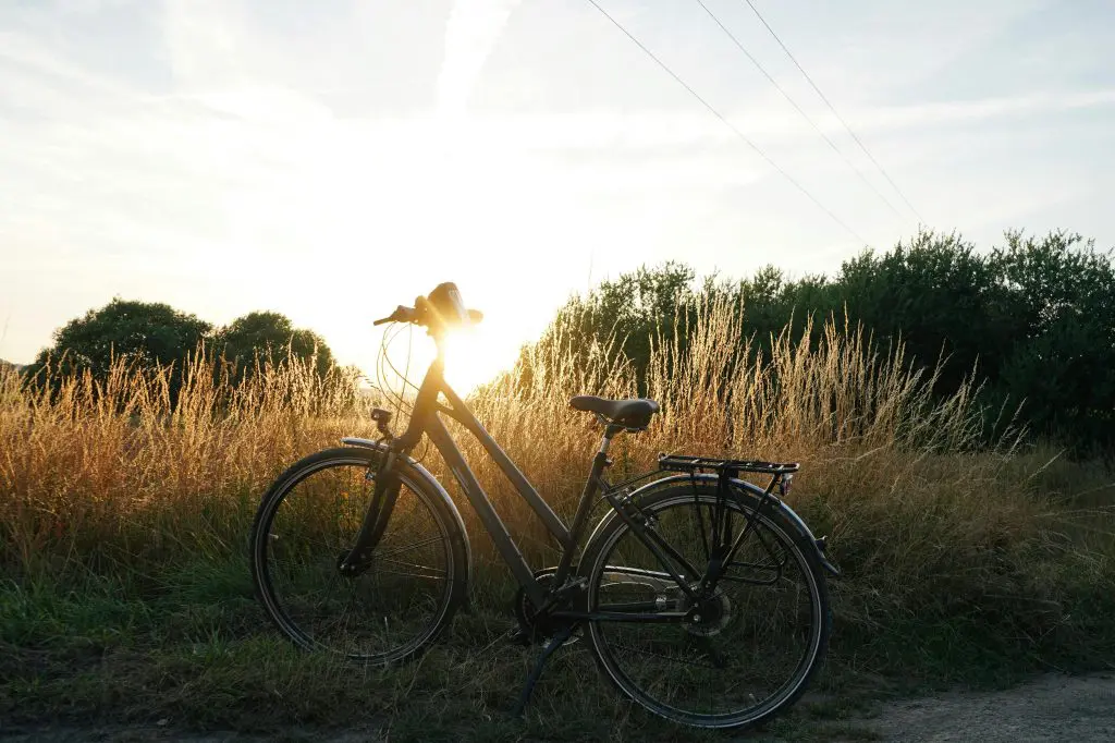 Green Horizons Magazine