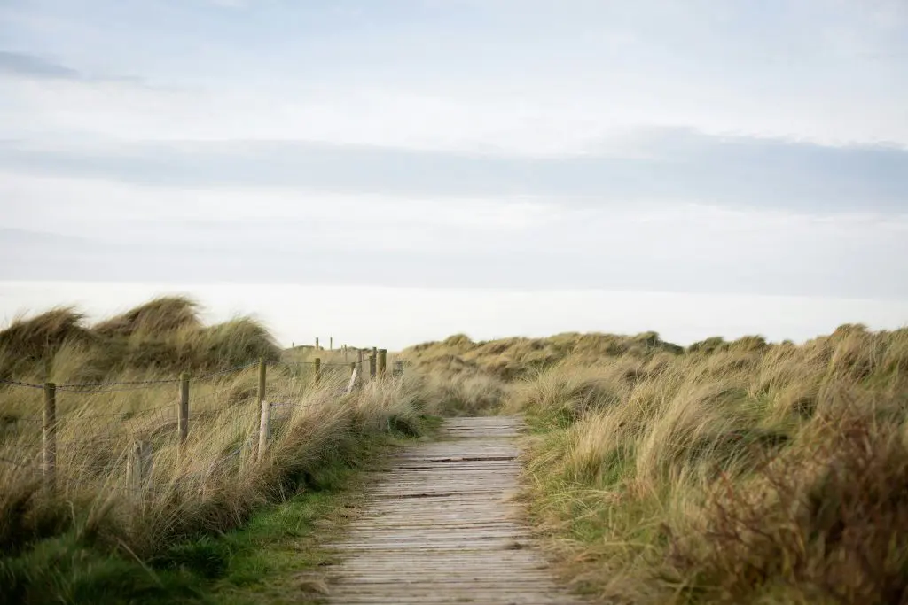 Portstewart Strand Alerts, Green Horizons