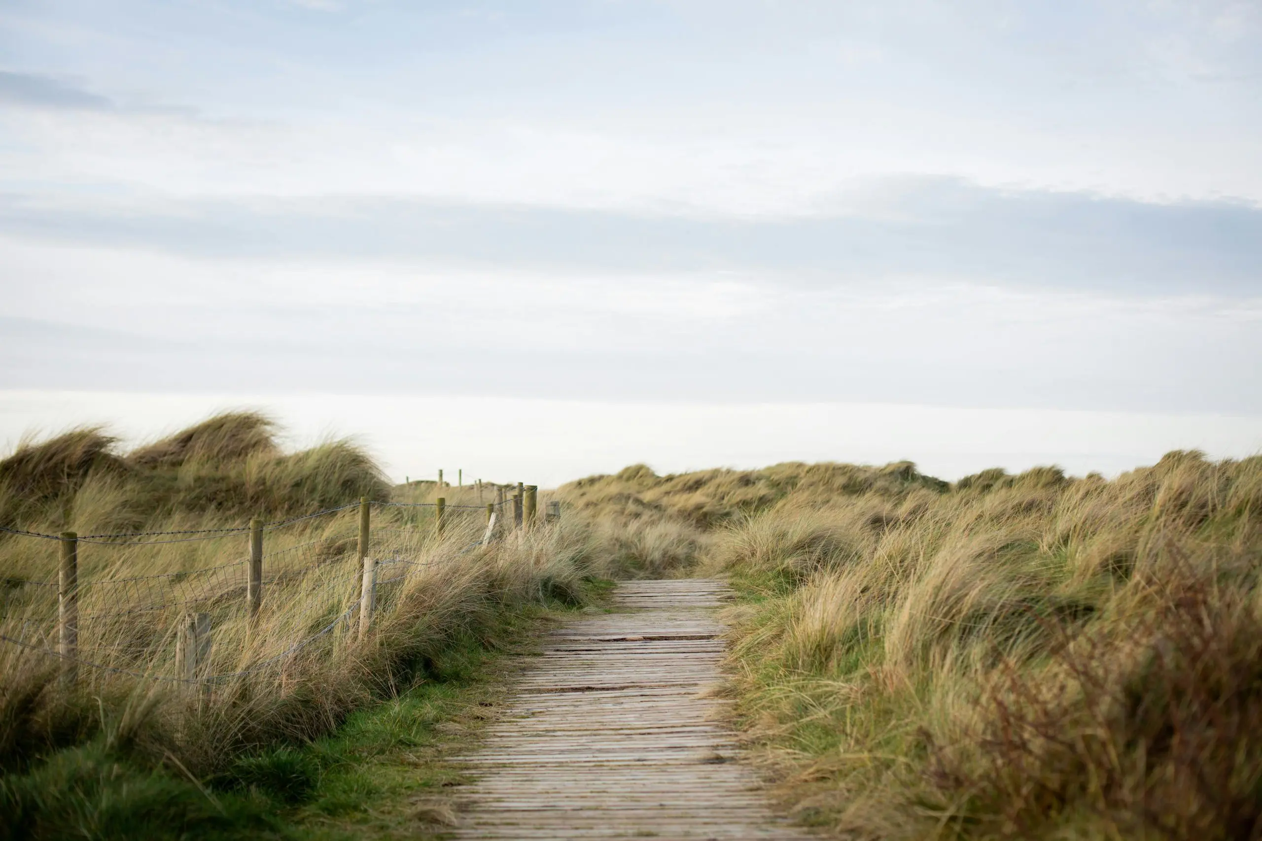 Portstewart Strand Alerts, Green Horizons